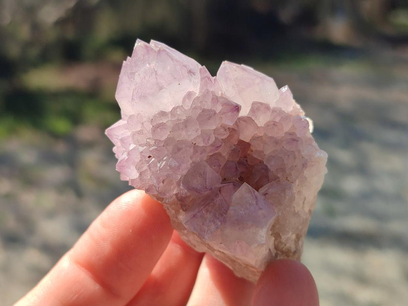 Natural Spirit Amethyst Clusters x 12 From Boekenhouthoek, South Africa - Toprock Gemstones and Minerals 
