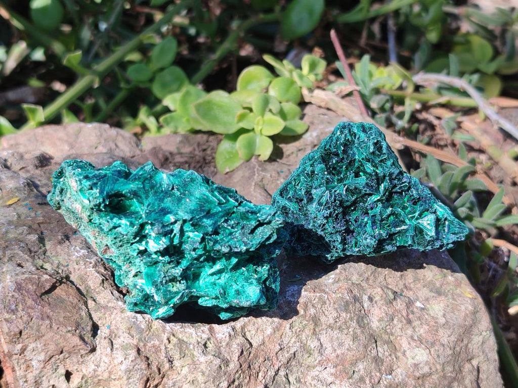 Natural Silky Malachite Specimens x 12 From Kasompe, Congo - Toprock Gemstones and Minerals 