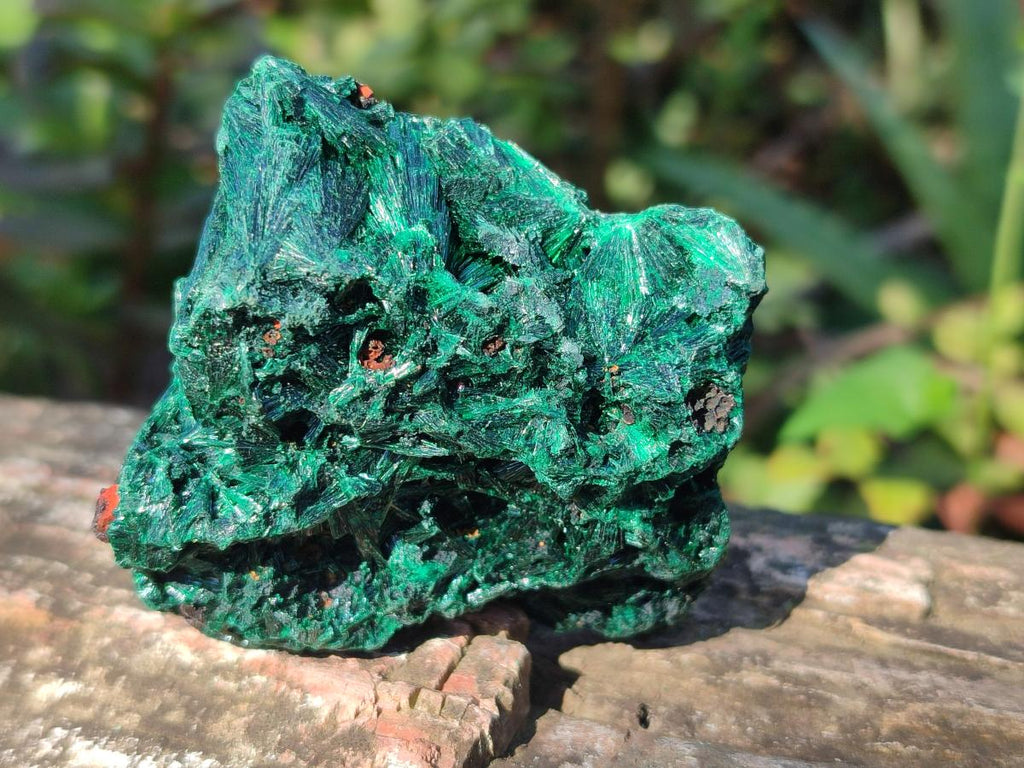 Natural Silky Malachite Specimens x 12 From Kasompe, Congo - Toprock Gemstones and Minerals 