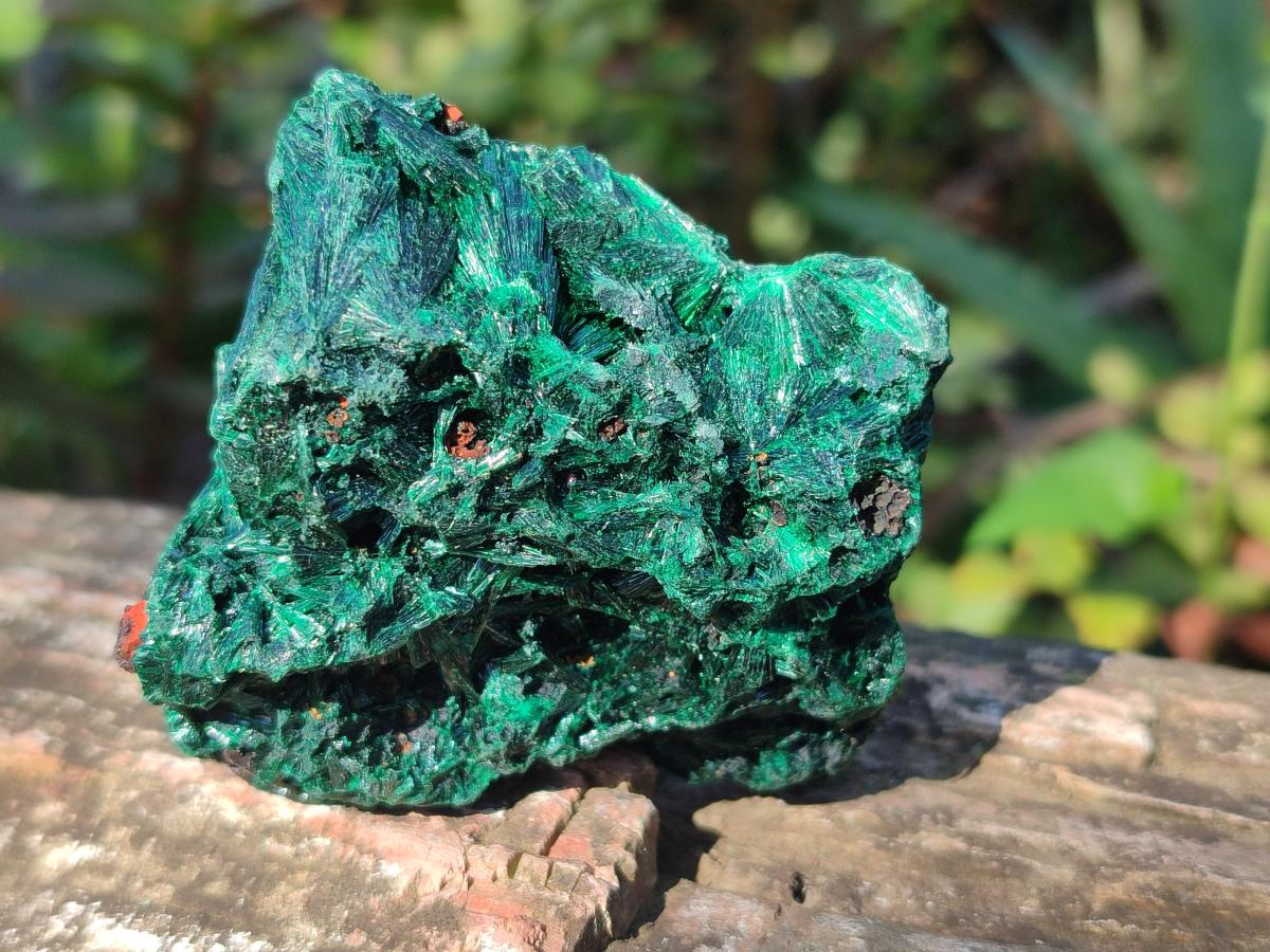 Natural Silky Malachite Specimens x 12 From Kasompe, Congo - Toprock Gemstones and Minerals 
