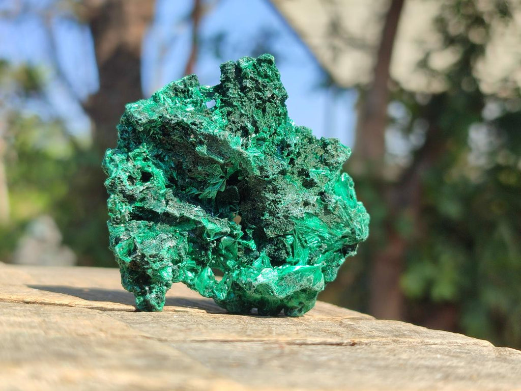 Natural Silky Malachite Specimens x 12 From Kasompe, Congo - Toprock Gemstones and Minerals 
