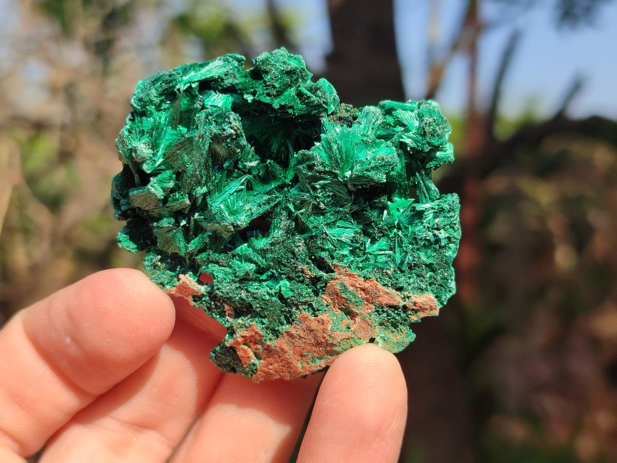 Natural Silky Malachite Specimens x 12 From Kasompe, Congo - Toprock Gemstones and Minerals 