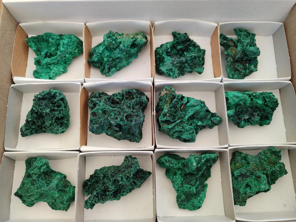 Natural Silky Malachite Specimens x 12 From Kasompe, Congo - Toprock Gemstones and Minerals 