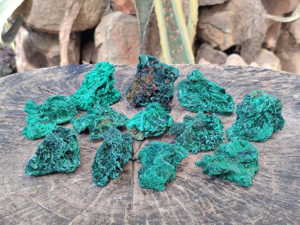 Natural Silky Malachite Specimens x 12 From Kasompe, Congo - Toprock Gemstones and Minerals 