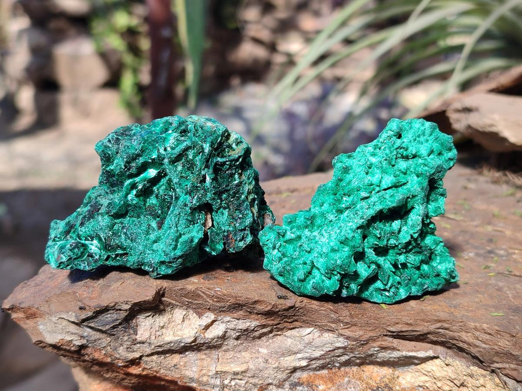 Natural Silky Malachite Specimens x 12 From Kasompe, Congo - Toprock Gemstones and Minerals 