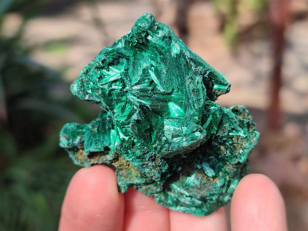Natural Silky Malachite Specimens x 12 From Kasompe, Congo - Toprock Gemstones and Minerals 