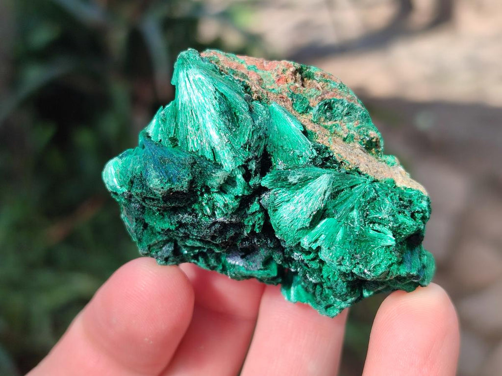Natural Silky Malachite Specimens x 12 From Kasompe, Congo - Toprock Gemstones and Minerals 