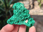 Natural Silky Malachite Specimens x 12 From Kasompe, Congo - Toprock Gemstones and Minerals 