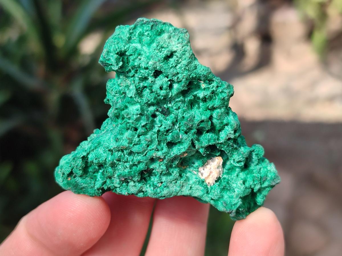 Natural Silky Malachite Specimens x 12 From Kasompe, Congo - Toprock Gemstones and Minerals 