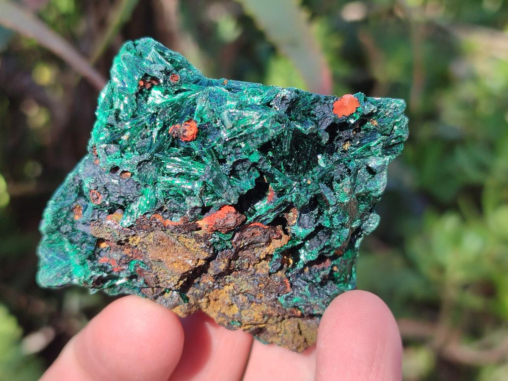 Natural Silky Malachite Specimens x 12 From Kasompe, Congo - Toprock Gemstones and Minerals 