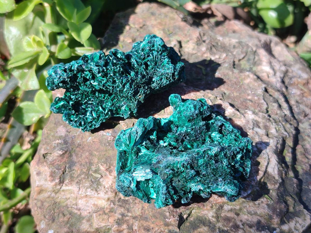 Natural Silky Malachite Specimens x 12 From Kasompe, Congo - Toprock Gemstones and Minerals 