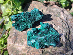 Natural Silky Malachite Specimens x 12 From Kasompe, Congo - Toprock Gemstones and Minerals 