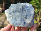Natural Blue Celestite Specimens x 2 From Sakoany, Madagascar - Toprock Gemstones and Minerals 