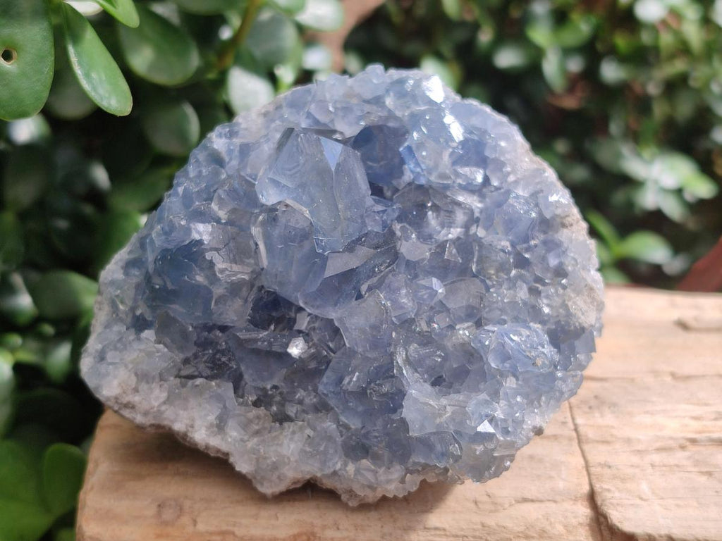 Natural Blue Celestite Specimens x 2 From Sakoany, Madagascar - Toprock Gemstones and Minerals 