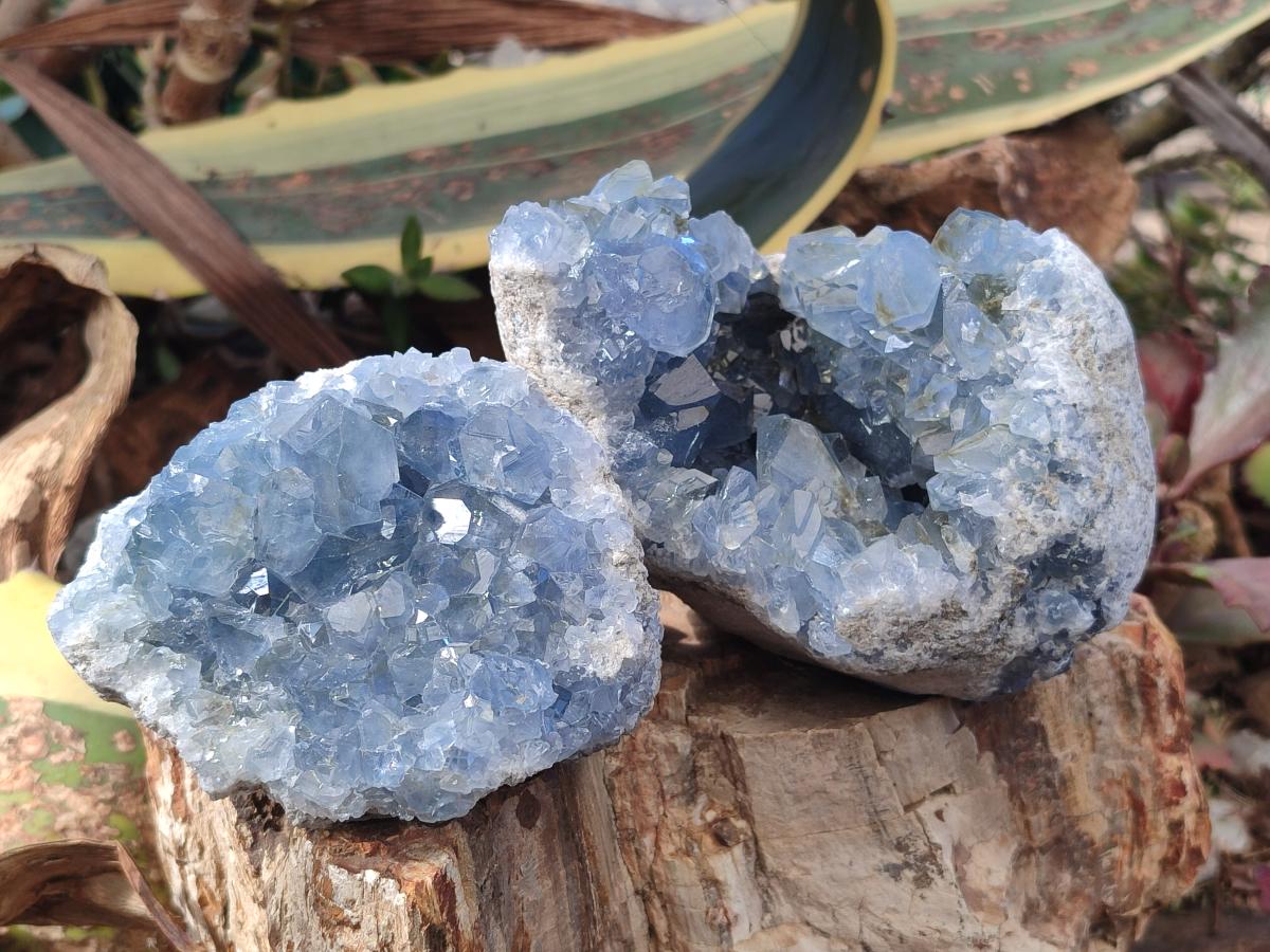 Natural Blue Celestite Specimens x 2 From Sakoany, Madagascar - Toprock Gemstones and Minerals 