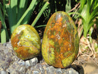 Polished Green Opal Standing Display Pieces x 2 From Betroka, Madagascar - Toprock Gemstones and Minerals 