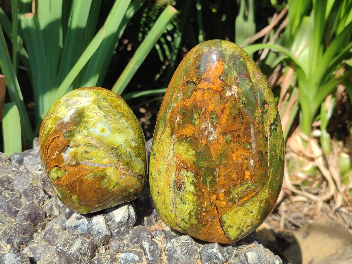Polished Green Opal Standing Display Pieces x 2 From Betroka, Madagascar - Toprock Gemstones and Minerals 