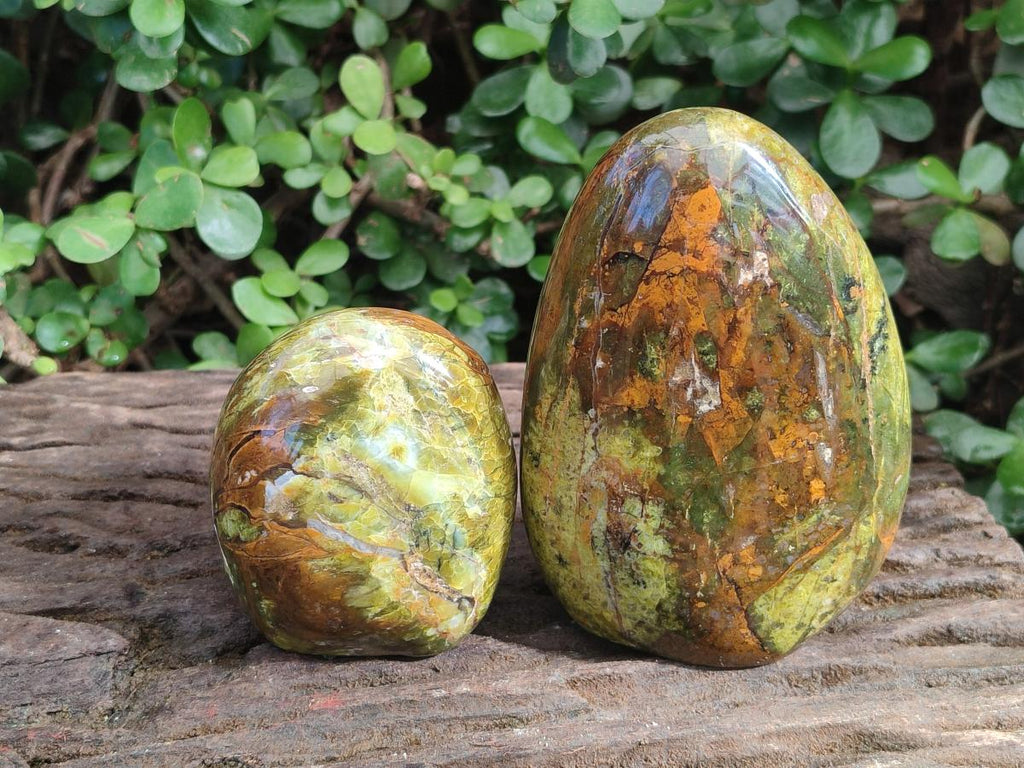 Polished Green Opal Standing Display Pieces x 2 From Betroka, Madagascar - Toprock Gemstones and Minerals 