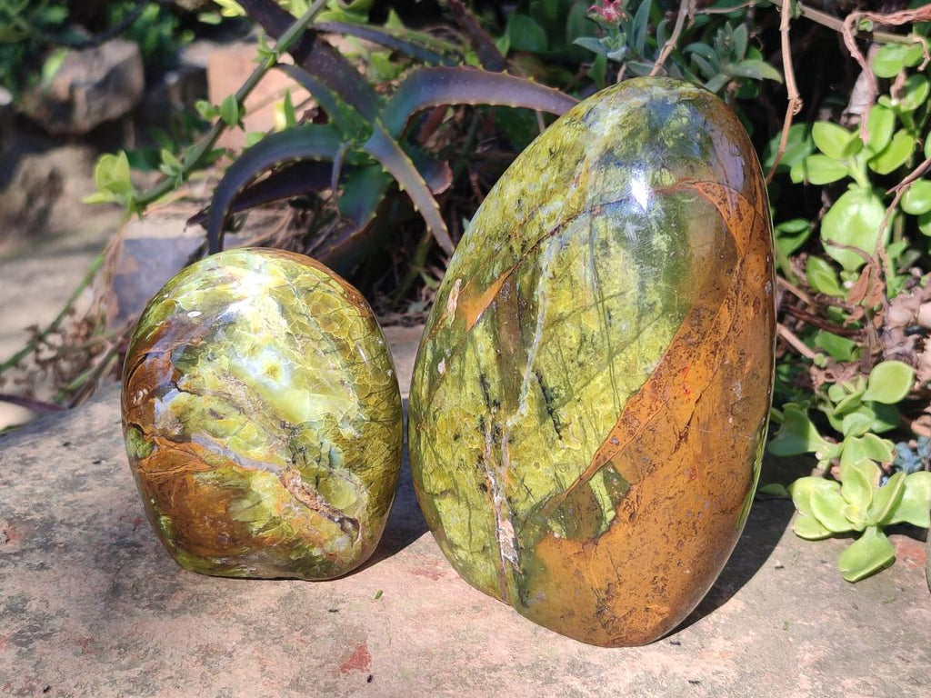 Polished Green Opal Standing Display Pieces x 2 From Betroka, Madagascar - Toprock Gemstones and Minerals 
