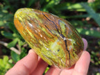 Polished Green Opal Standing Display Pieces x 2 From Betroka, Madagascar - Toprock Gemstones and Minerals 