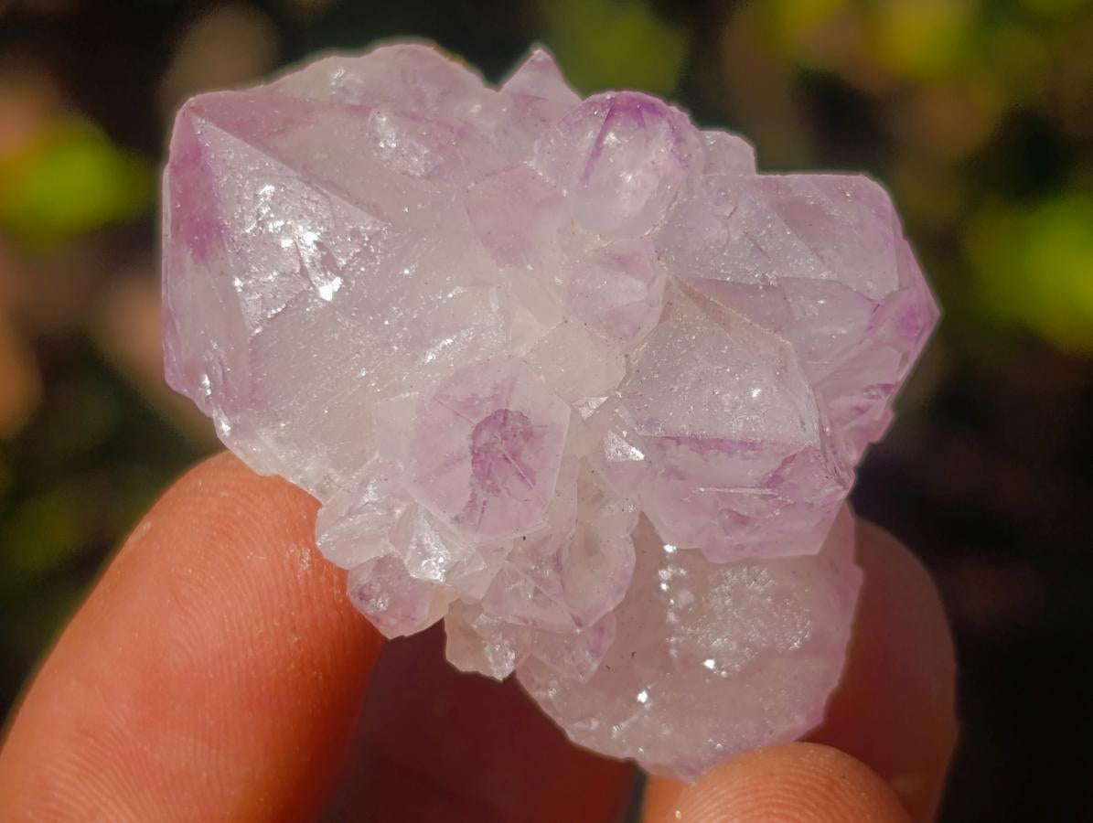 Natural Spirit Amethyst Crystals x 35 From Boekenhouthoek, South Africa - Toprock Gemstones and Minerals 