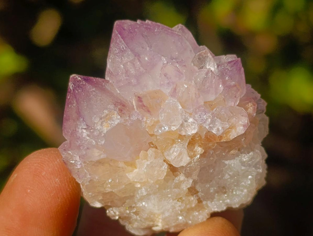 Natural Spirit Amethyst Crystals x 35 From Boekenhouthoek, South Africa - Toprock Gemstones and Minerals 