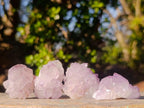 Natural Spirit Amethyst Crystals x 35 From Boekenhouthoek, South Africa - Toprock Gemstones and Minerals 