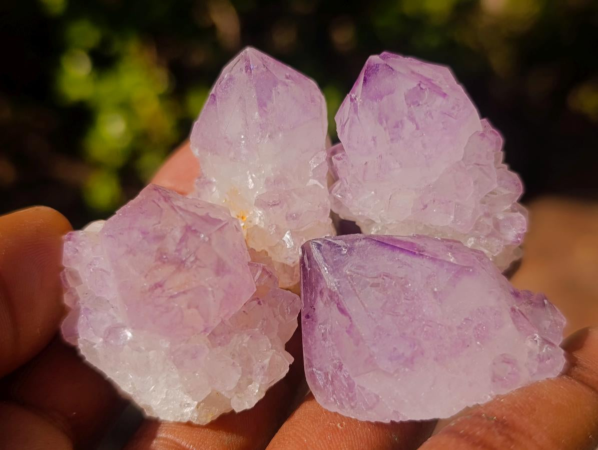 Natural Spirit Amethyst Crystals x 35 From Boekenhouthoek, South Africa - Toprock Gemstones and Minerals 