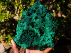 Natural Large Silky Malachite Specimen x 1 From Kasompe, Congo - Toprock Gemstones and Minerals 