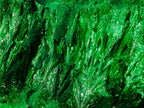 Natural Large Silky Malachite Specimen x 1 From Kasompe, Congo - Toprock Gemstones and Minerals 