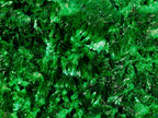 Natural Large Silky Malachite Specimen x 1 From Kasompe, Congo - Toprock Gemstones and Minerals 