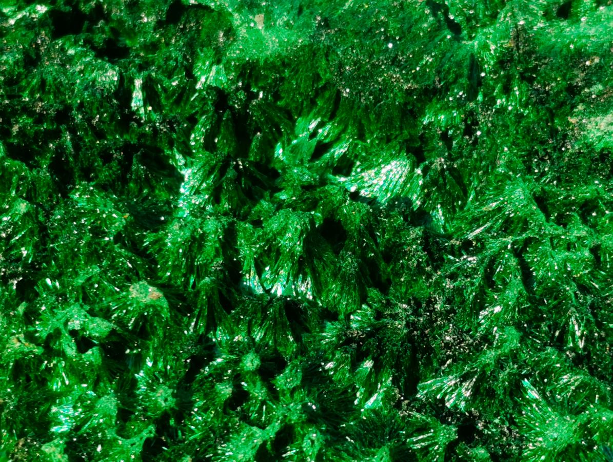 Natural Large Silky Malachite Specimen x 1 From Kasompe, Congo - Toprock Gemstones and Minerals 
