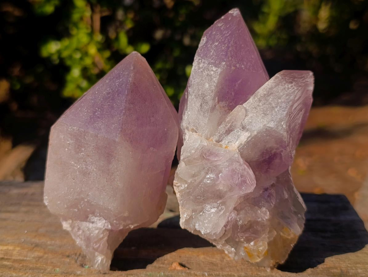 Natural Jacaranda Amethyst Crystals and Clusters x 6 From Mumbwa, Zambia - Toprock Gemstones and Minerals 
