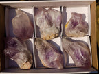 Natural Jacaranda Amethyst Crystals and Clusters x 6 From Mumbwa, Zambia - Toprock Gemstones and Minerals 
