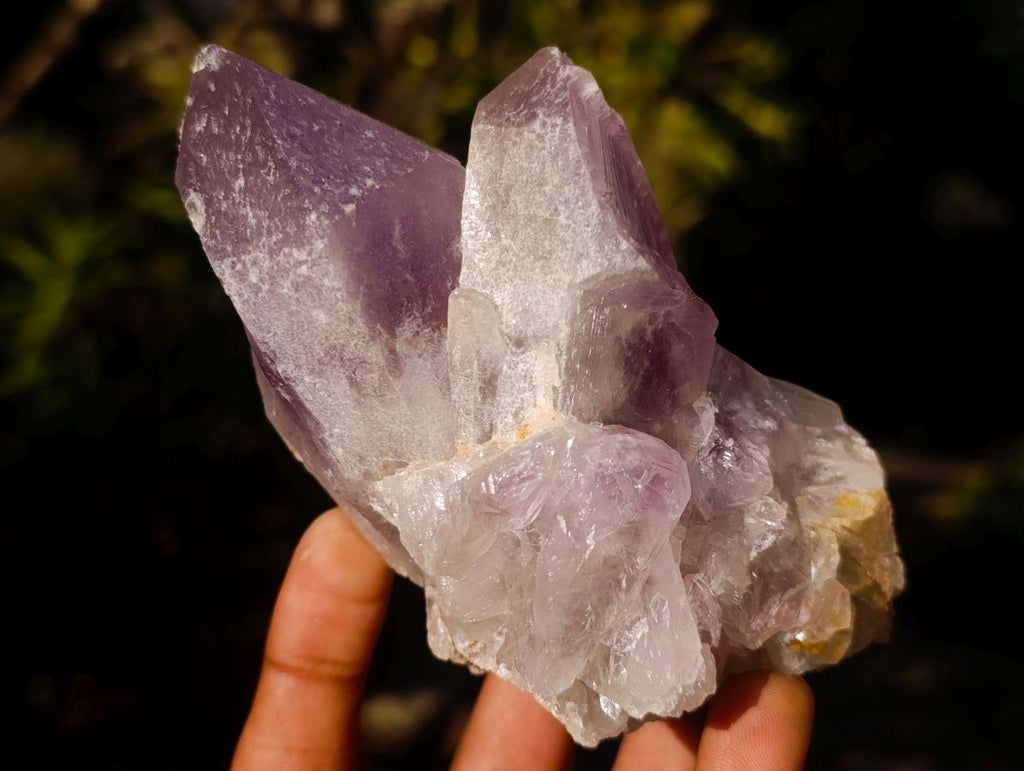 Natural Jacaranda Amethyst Crystals and Clusters x 6 From Mumbwa, Zambia - Toprock Gemstones and Minerals 