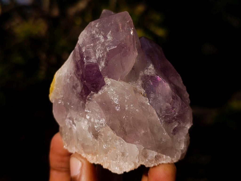 Natural Jacaranda Amethyst Crystals and Clusters x 6 From Mumbwa, Zambia - Toprock Gemstones and Minerals 