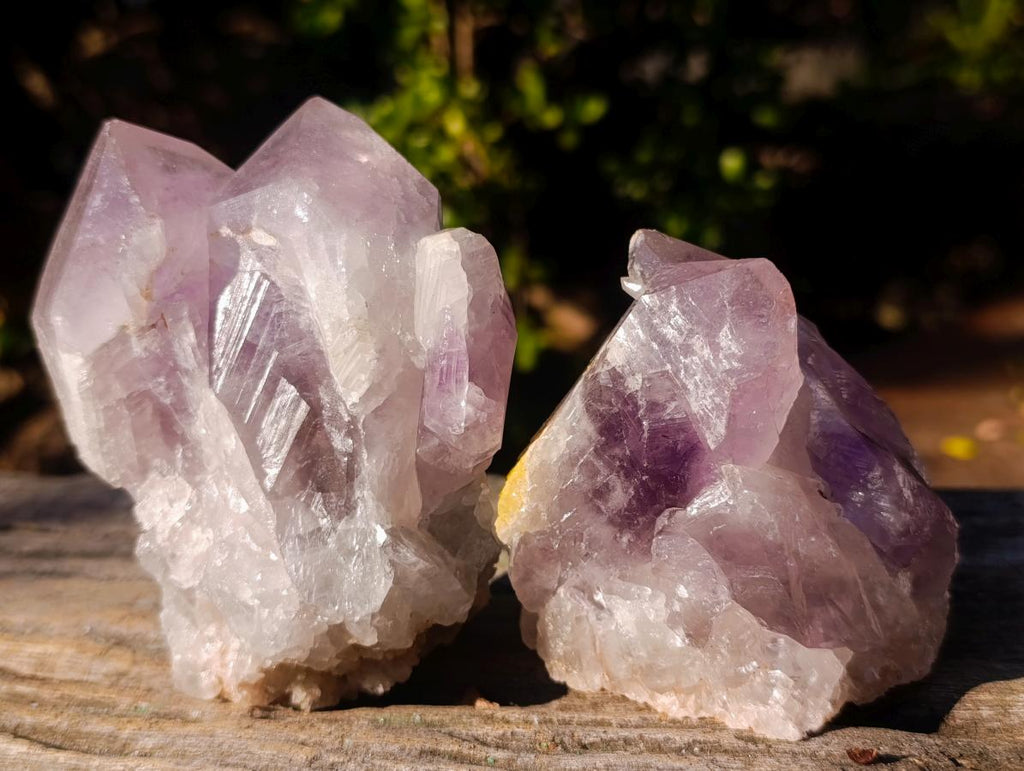 Natural Jacaranda Amethyst Crystals and Clusters x 6 From Mumbwa, Zambia - Toprock Gemstones and Minerals 