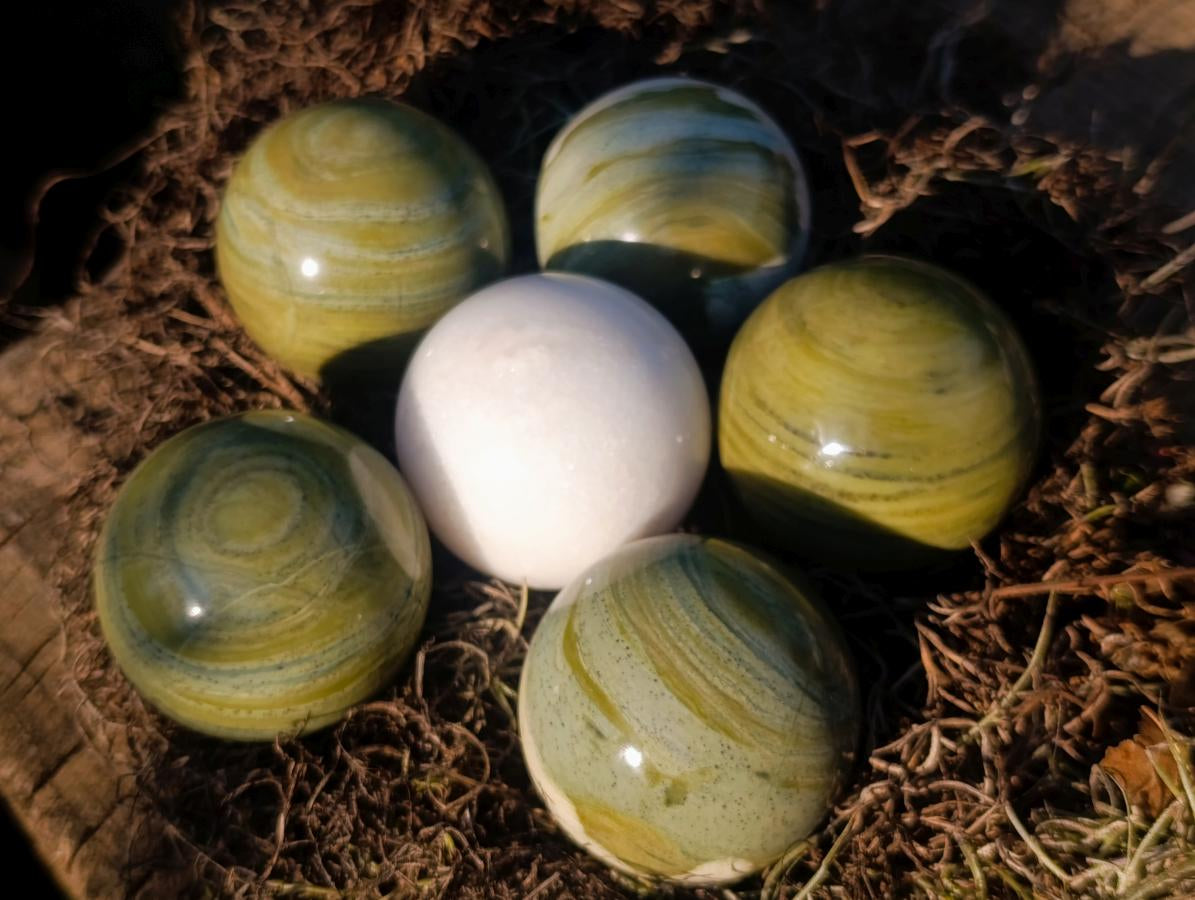 Polished Butter Jade Spheres x 6 From Bronkhorstspruit, South Africa - Toprock Gemstones and Minerals 