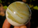 Polished Butter Jade Spheres x 6 From Bronkhorstspruit, South Africa - Toprock Gemstones and Minerals 