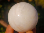 Polished Butter Jade Spheres x 6 From Bronkhorstspruit, South Africa - Toprock Gemstones and Minerals 