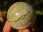 Polished Butter Jade Spheres x 6 From Bronkhorstspruit, South Africa - Toprock Gemstones and Minerals 