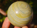Polished Butter Jade Spheres x 6 From Bronkhorstspruit, South Africa - Toprock Gemstones and Minerals 