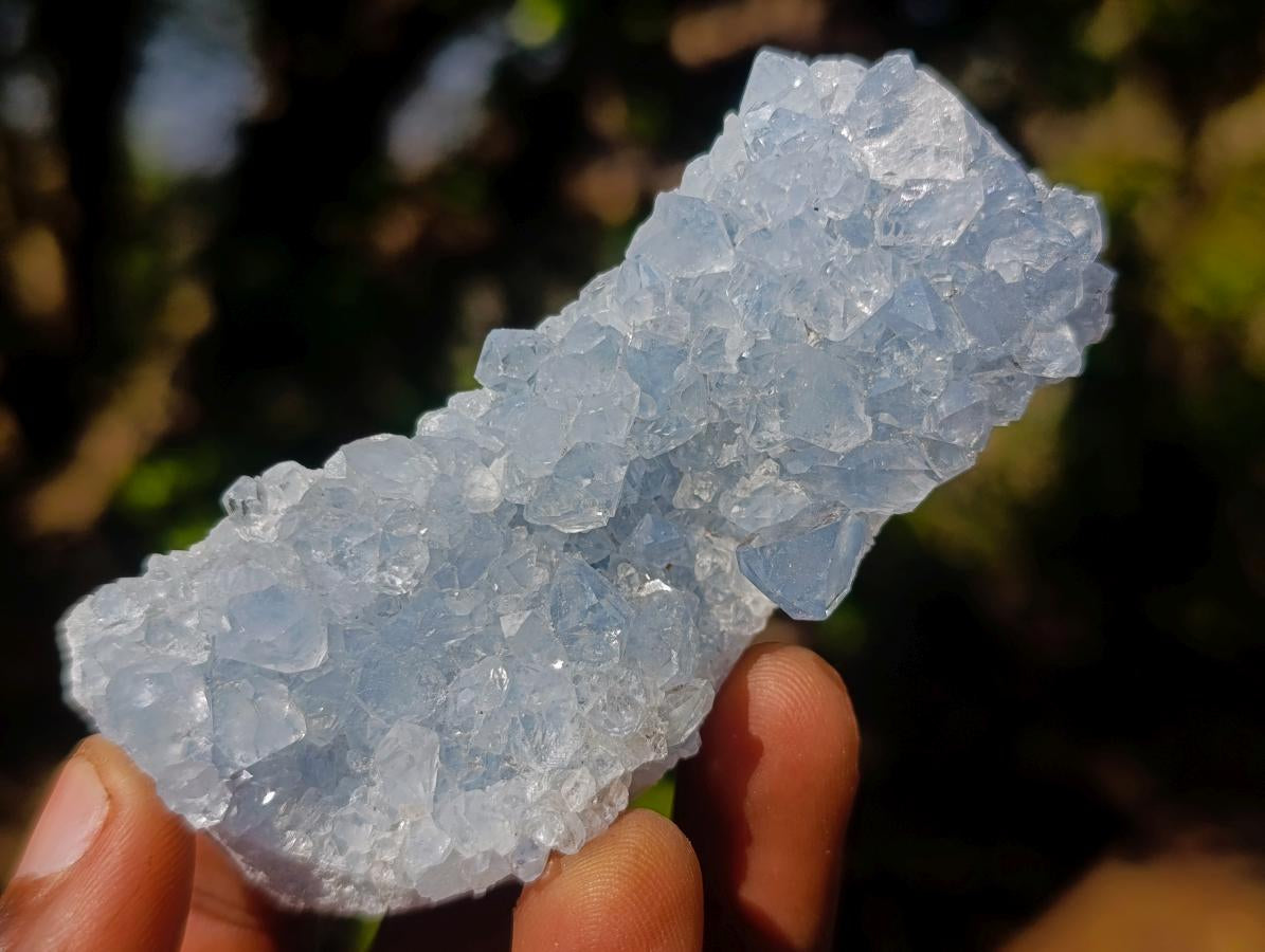 Natural Blue Celestite Specimens x 24 From Sakoany, Madagascar - Toprock Gemstones and Minerals 