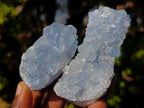 Natural Blue Celestite Specimens x 24 From Sakoany, Madagascar - Toprock Gemstones and Minerals 