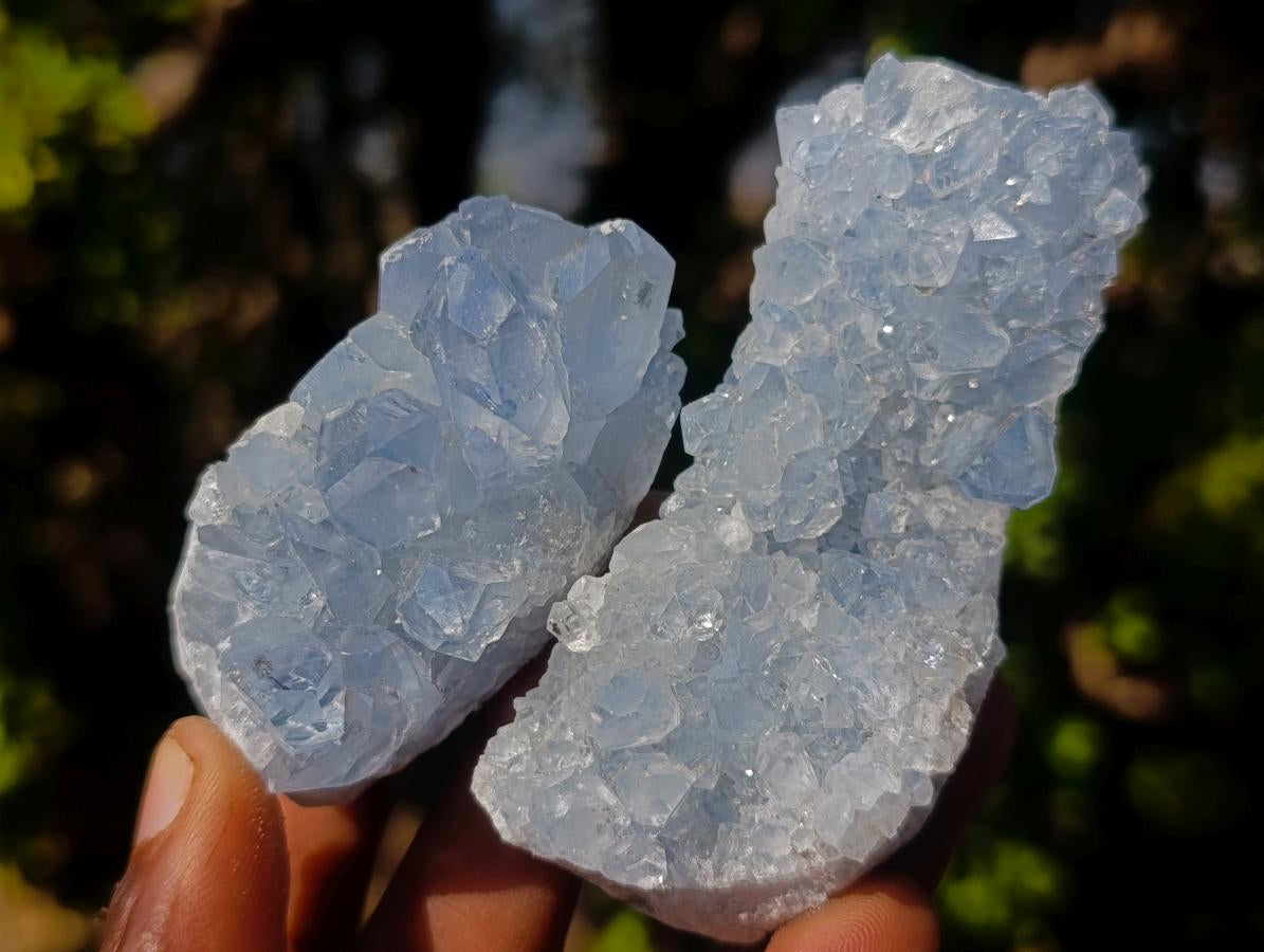 Natural Blue Celestite Specimens x 24 From Sakoany, Madagascar - Toprock Gemstones and Minerals 