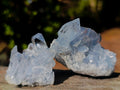 Natural Blue Celestite Specimens x 24 From Sakoany, Madagascar - Toprock Gemstones and Minerals 