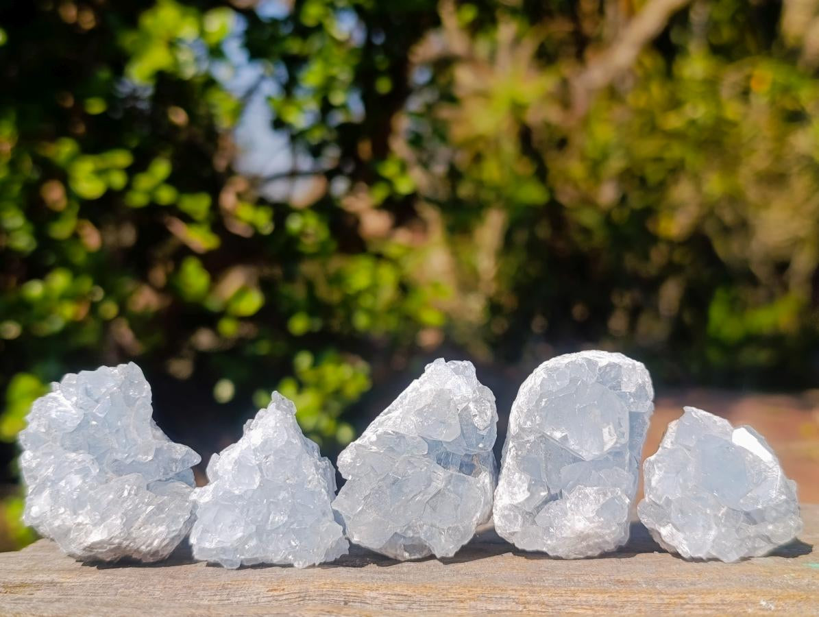 Natural Blue Celestite Specimens x 24 From Sakoany, Madagascar - Toprock Gemstones and Minerals 