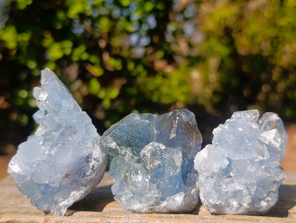 Natural Blue Celestite Specimens x 24 From Sakoany, Madagascar - Toprock Gemstones and Minerals 