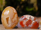 Polished Mini Flower Agate Free Forms x 40 From Antsahalova, Madagascar - Toprock Gemstones and Minerals 