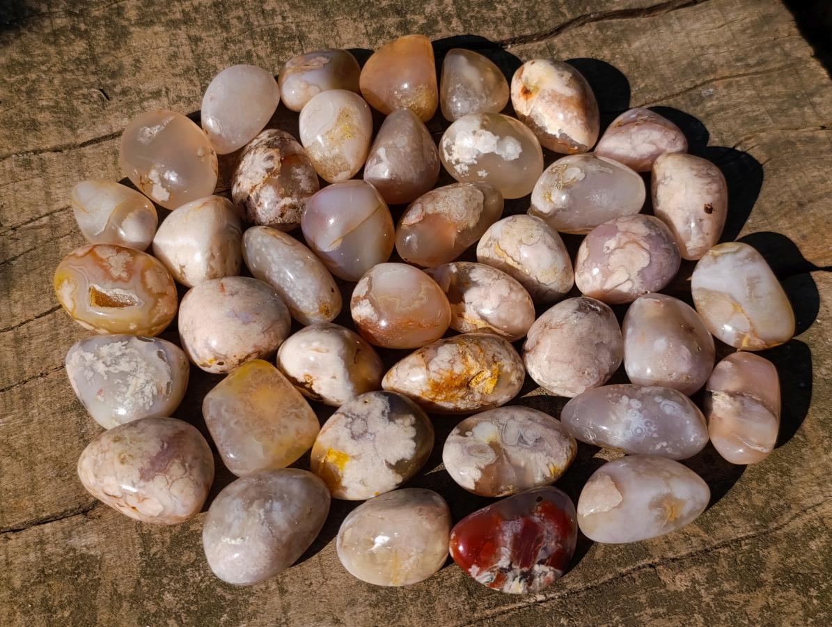 Polished Mini Flower Agate Free Forms x 40 From Antsahalova, Madagascar - Toprock Gemstones and Minerals 